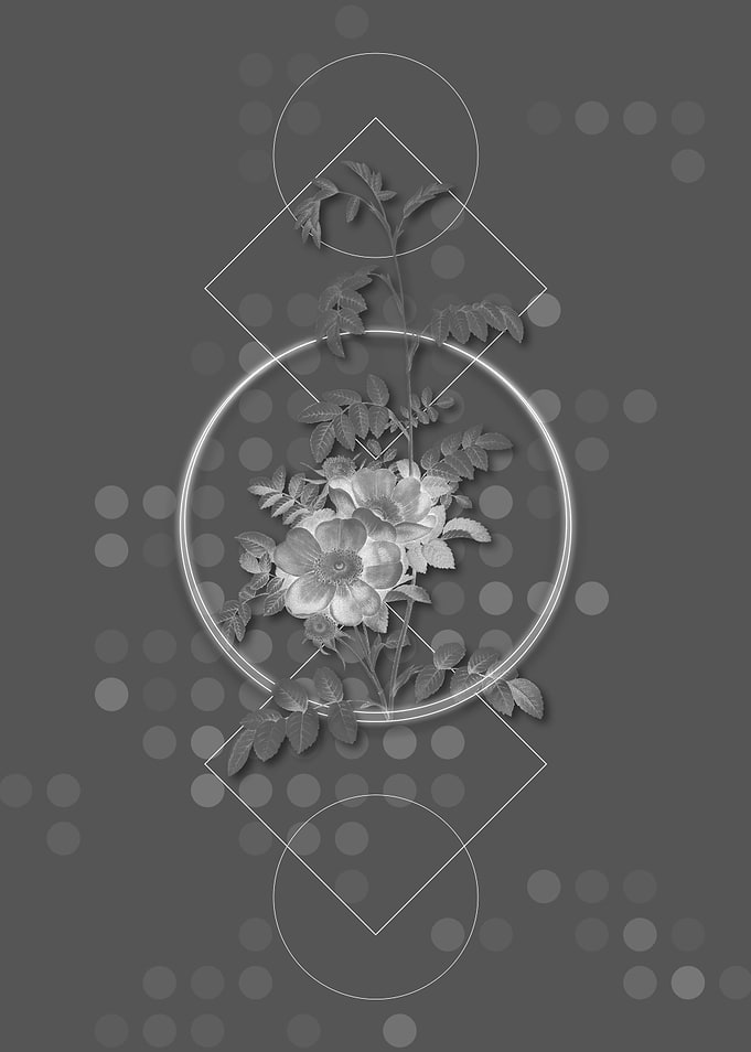 Gray Geometric Rose Flower