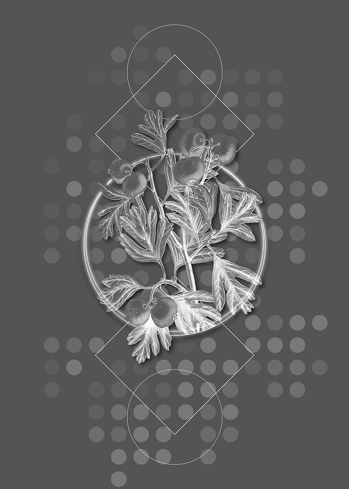 Aronia Thorn Flower