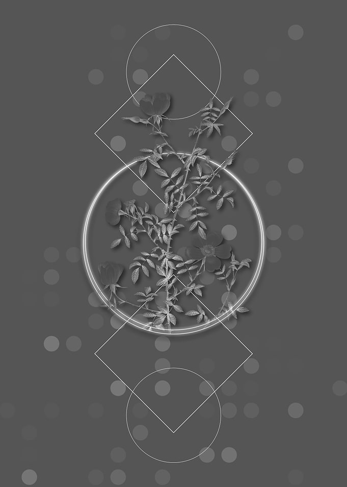Gray Geometric Rose Flower