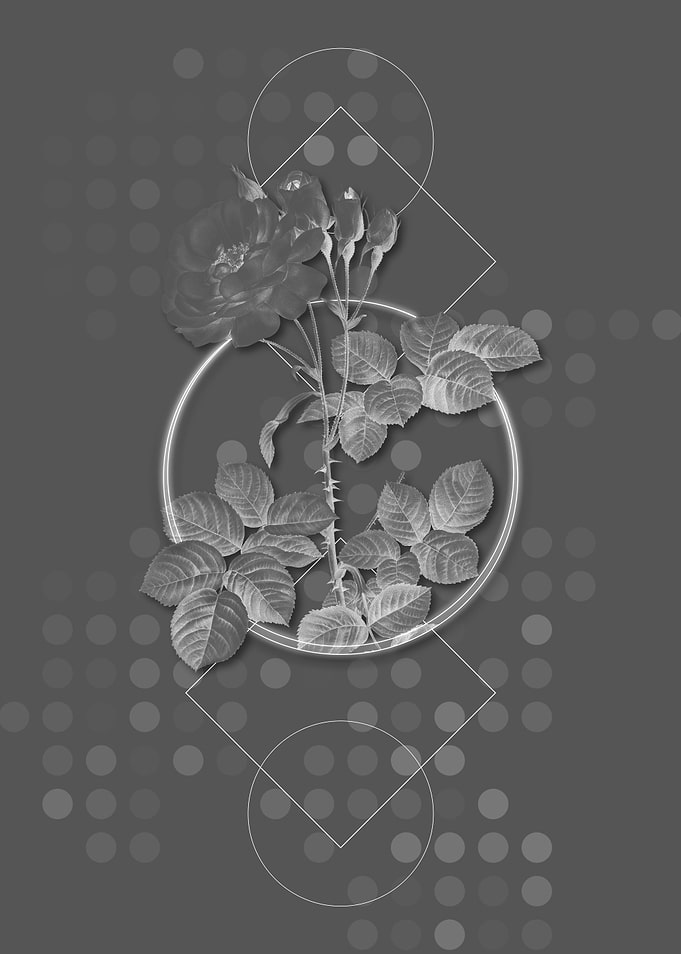 Gray Geometric Rose Flower