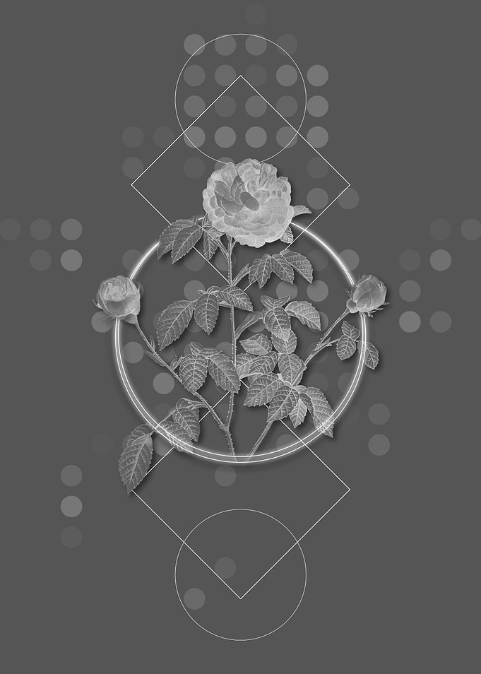 Gray Geometric Agatha Rose
