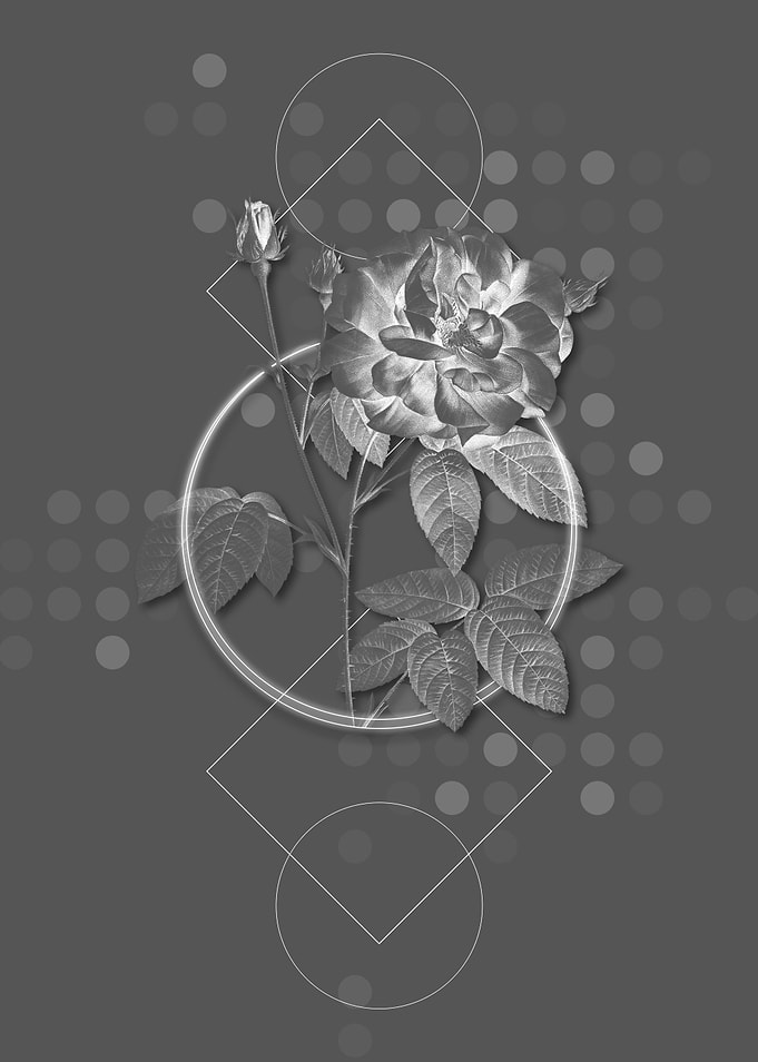 Gray Geometric Rose Flower