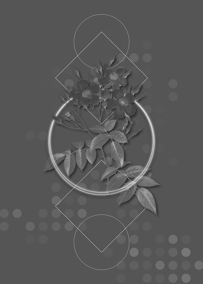 Gray Vintage Rose Flower