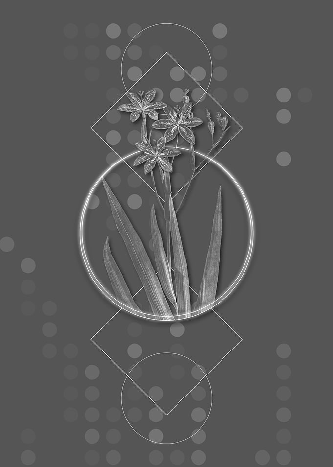 Gray Geometric Lily Flower