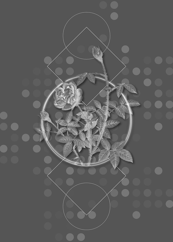 Gray Vintage Rose Flowers