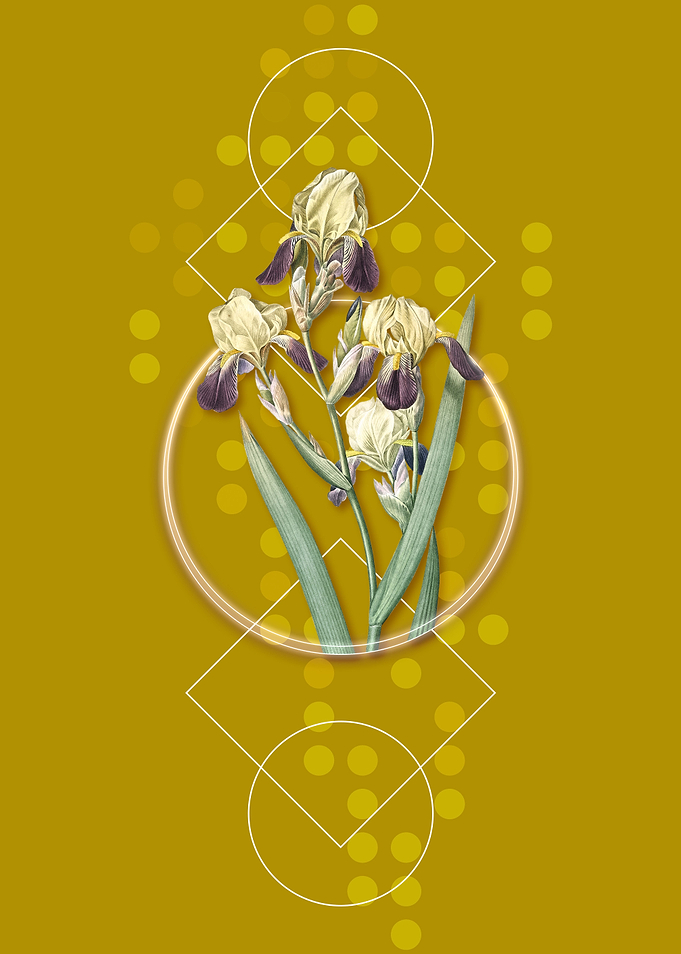 Vintage Elder Scented Iris