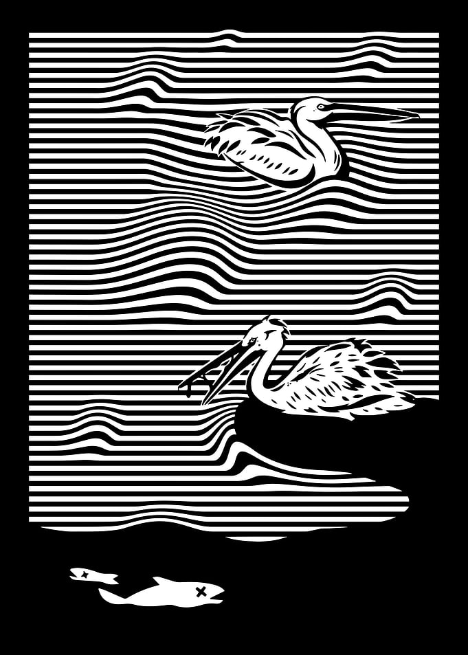 pelican pollution