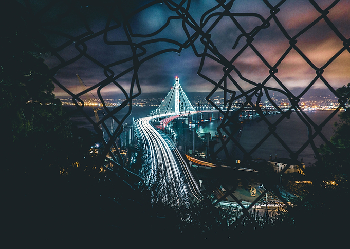 Wire Mesh and lights