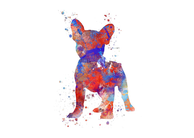 French Bulldog