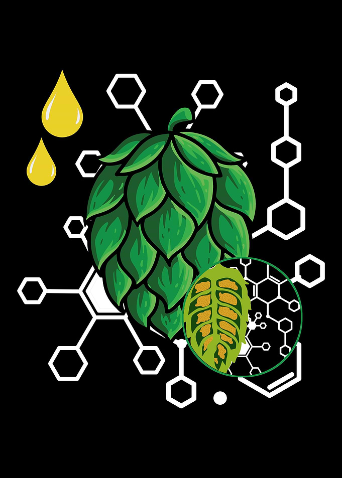 Home Brewing Craft Beer