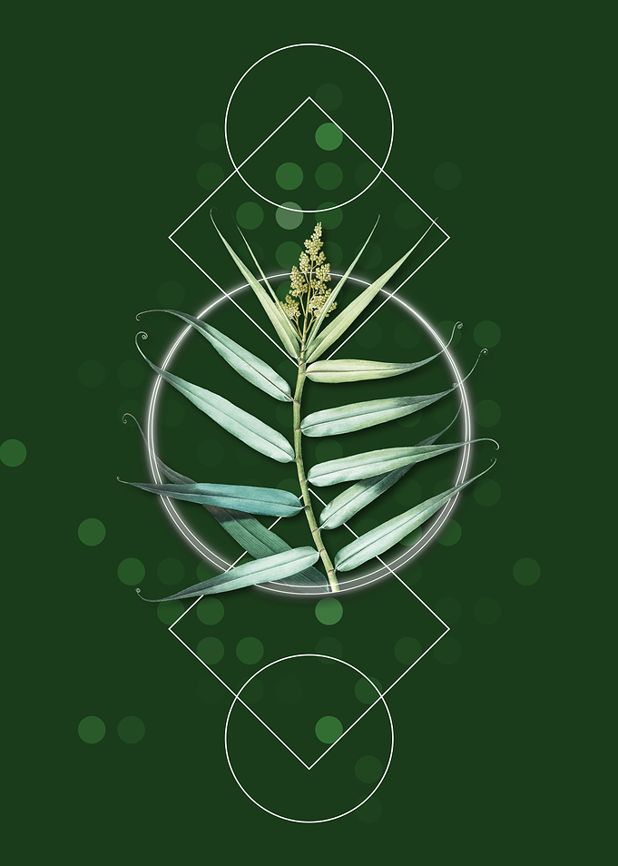 Geometric Bush Cane Floral