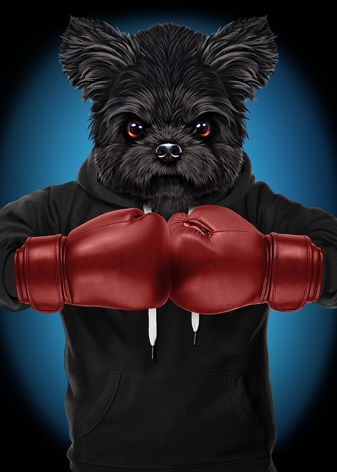 Boxer Maltese Dog