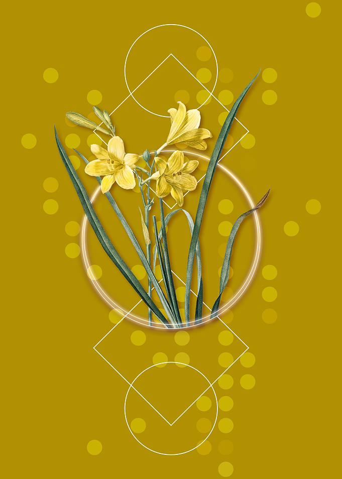 Geometric Daylily Flower