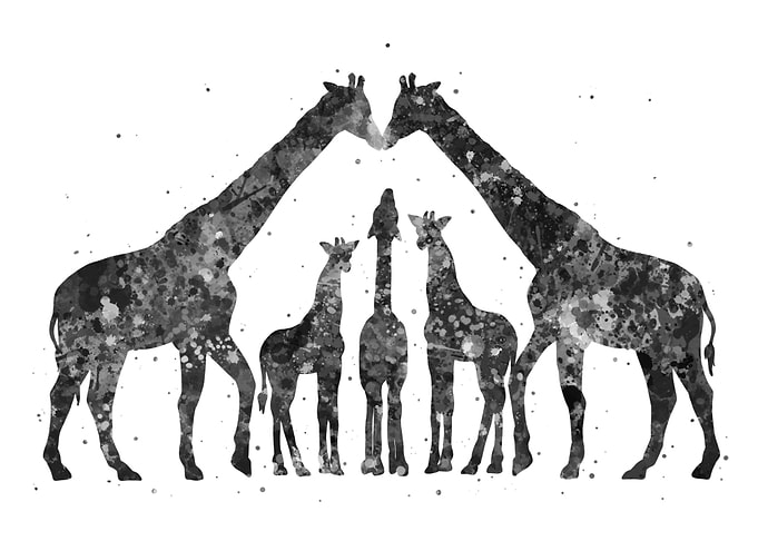 Giraffe cute family