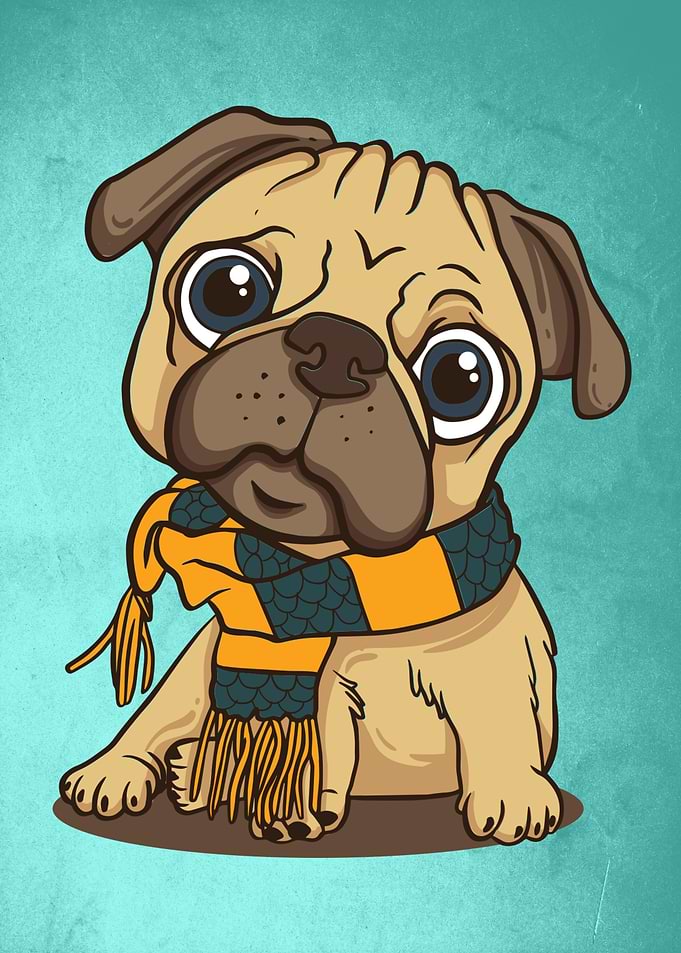 Puppy pug