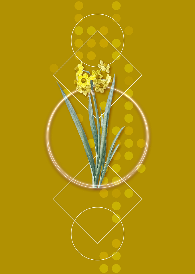 Geometric Daffodil Flower