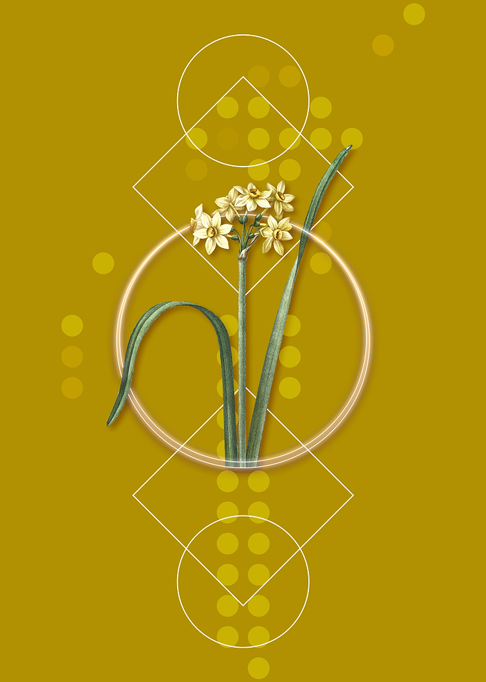 Geometric Daffodil Flower