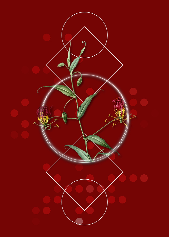 Geometric Red Flame Lily