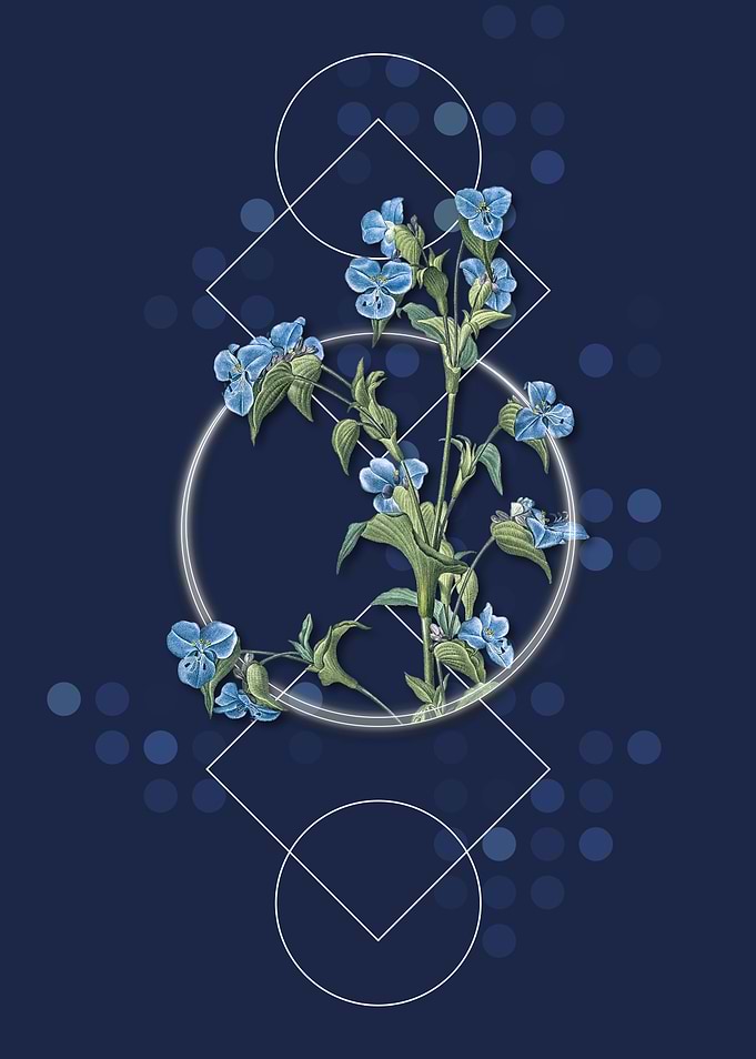 Vintage Commelina Tuberosa