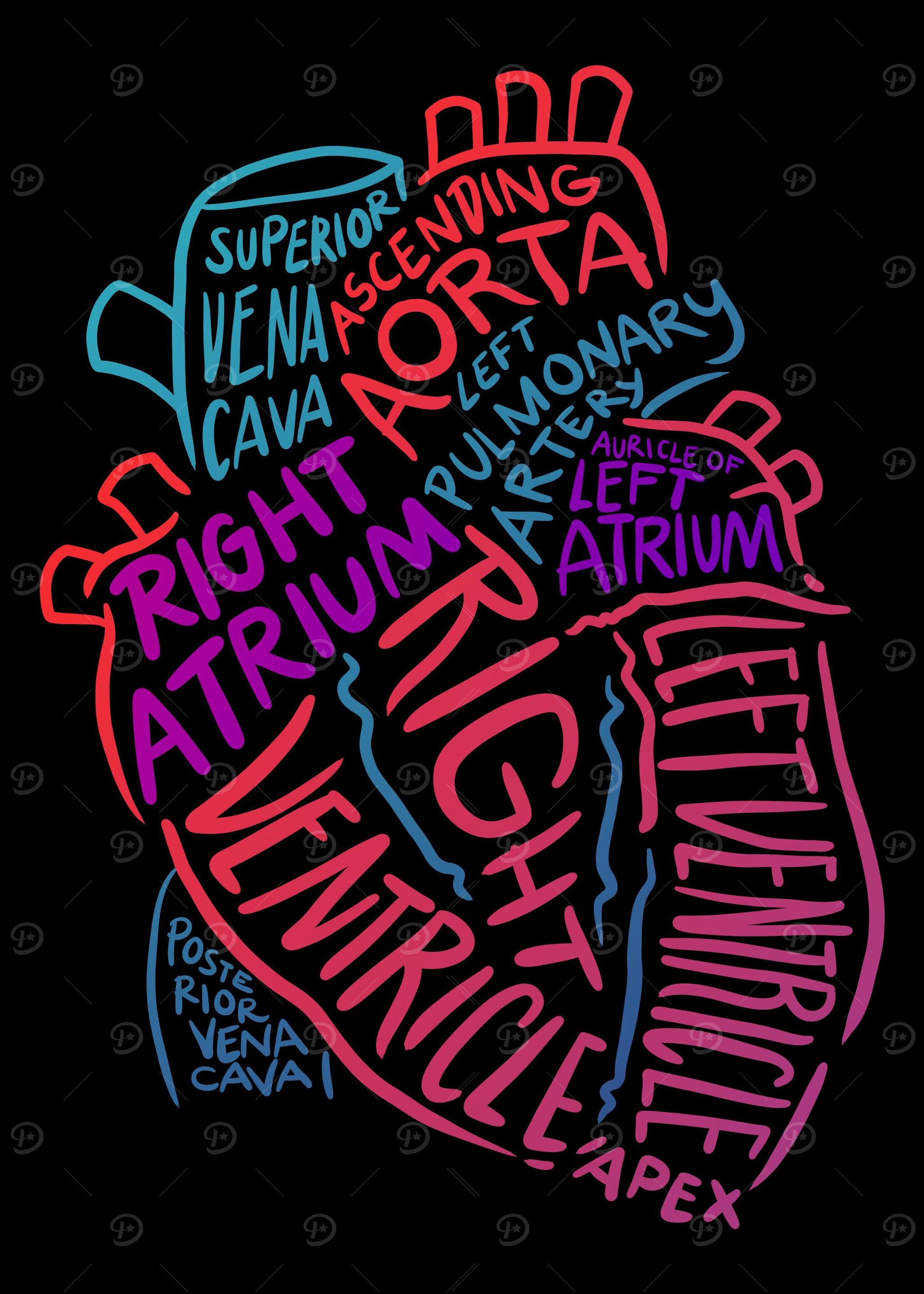 Nurse Shirt Anatomical Hea