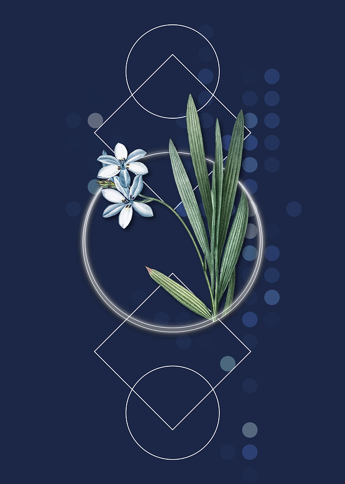 Vintage Gladiolus Flowers