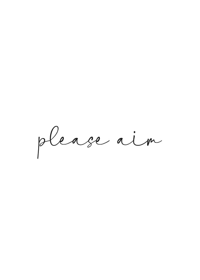 Please Aim