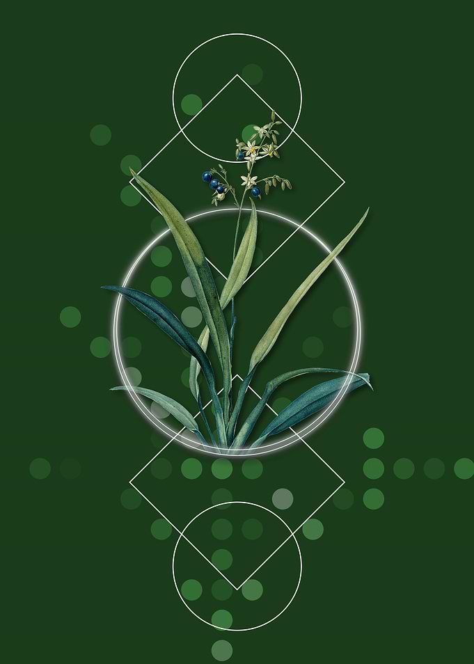Geometric Flax Lilies
