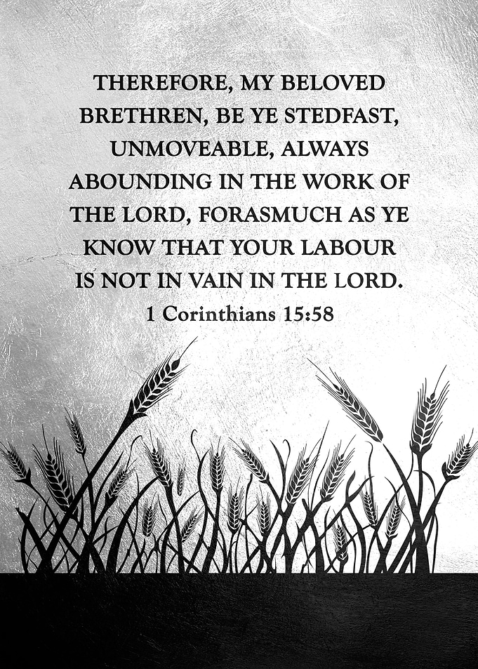 1 Corinthians 15 58