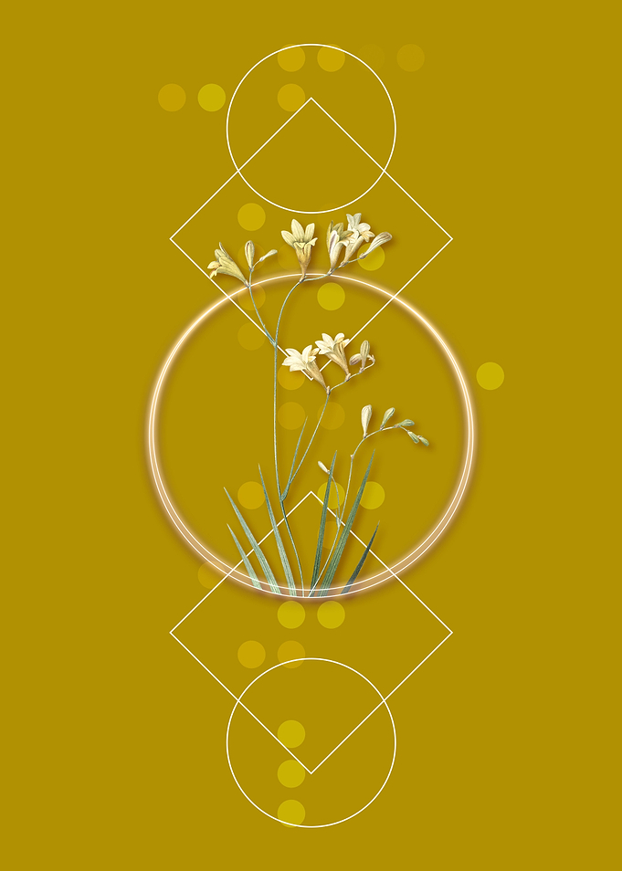 Geometric Freesia Flowers