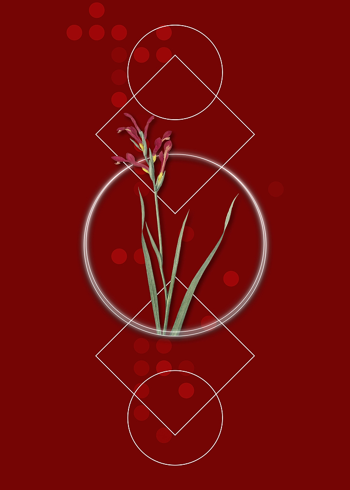 Geometric Gladiolus Flower