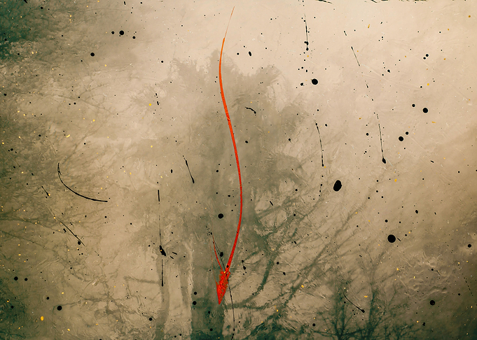 Oneiric Tree Shadow