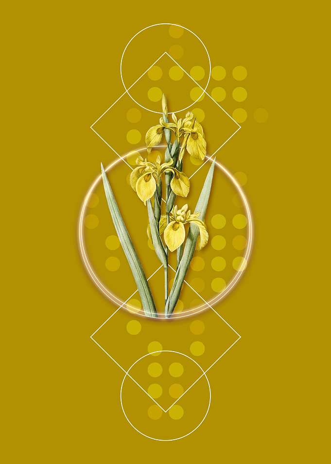Geometric Hungarian Iris