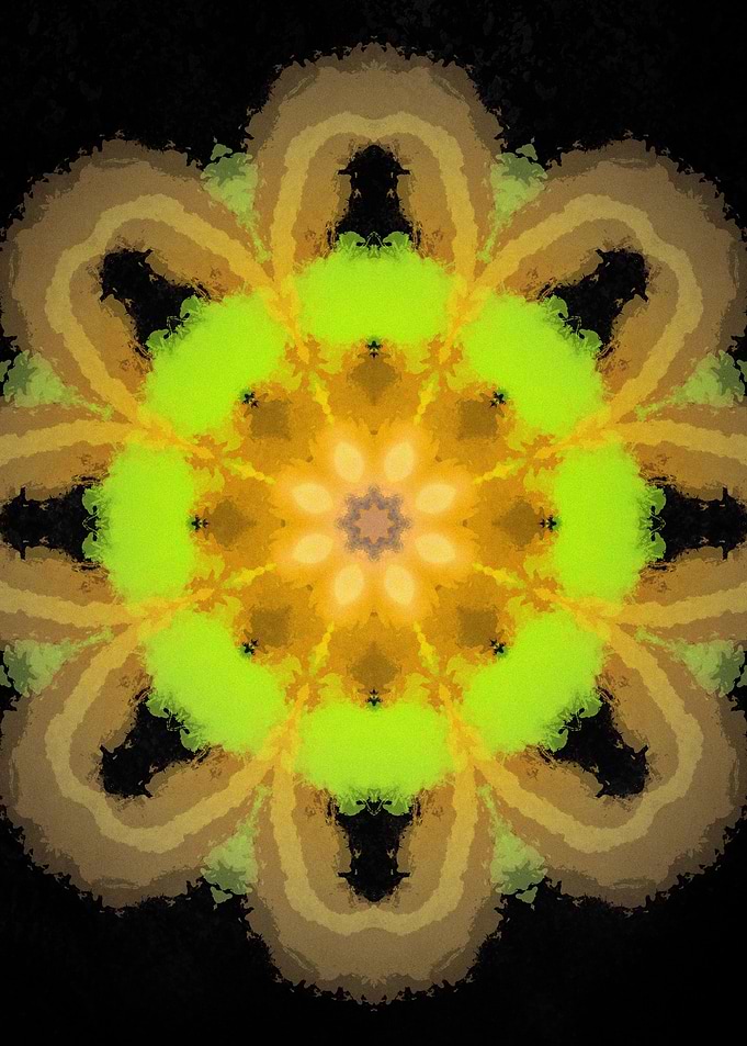 Sun Flower