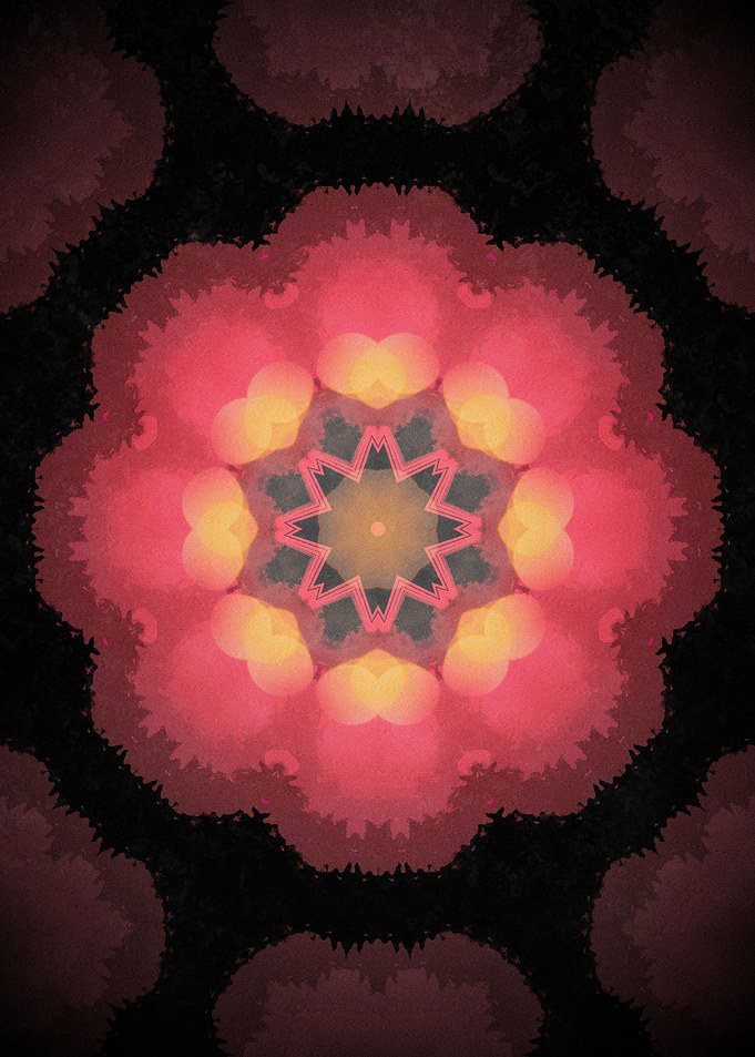 Red Roses