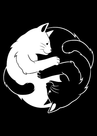 Ying Yang Cat