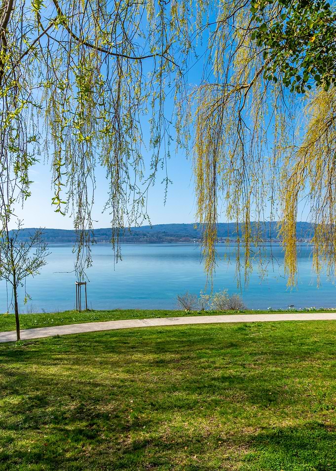sunny spring day