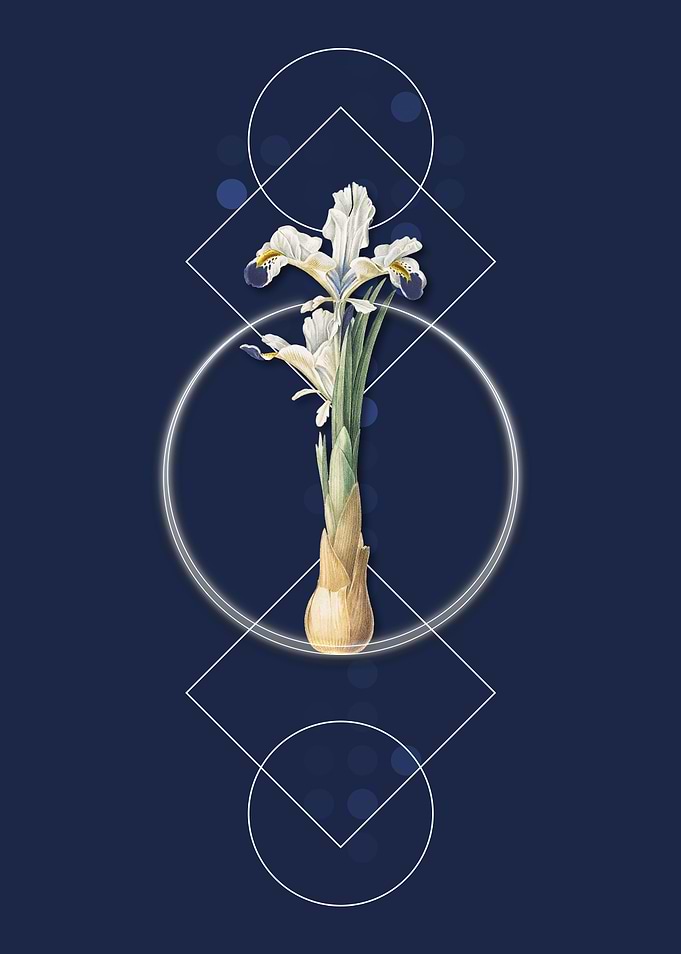 Geometric Iris Persica
