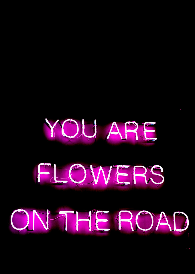 Flowers on the Road