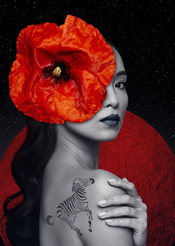 Poppy Fairy