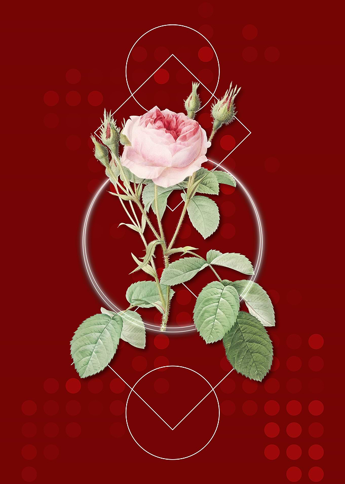 Geometric Double Moss Rose