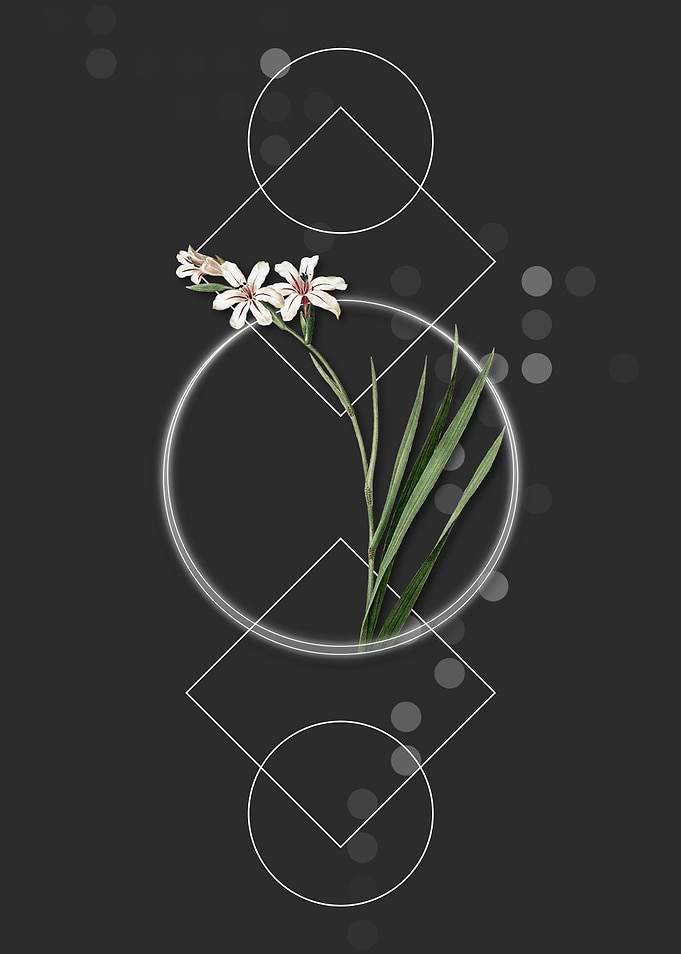 Geometric Gladiolus Flower
