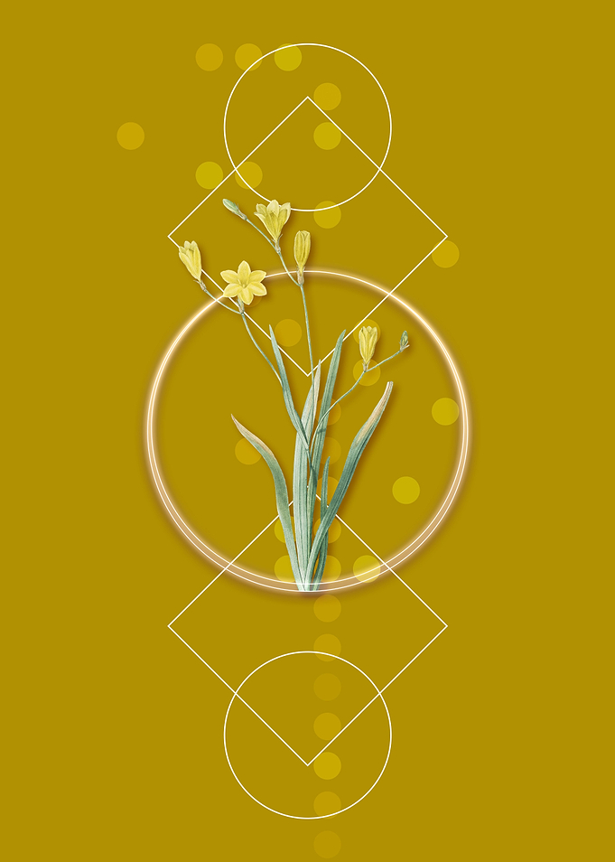 Geometric Ixia Bulbifera