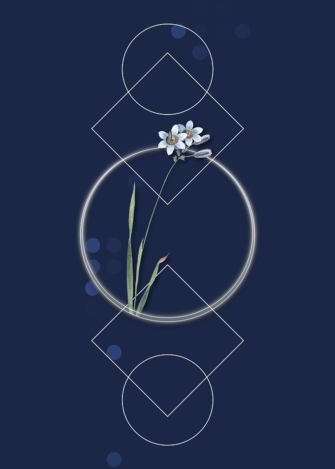 Vintage Galaxia Ixiaeflora