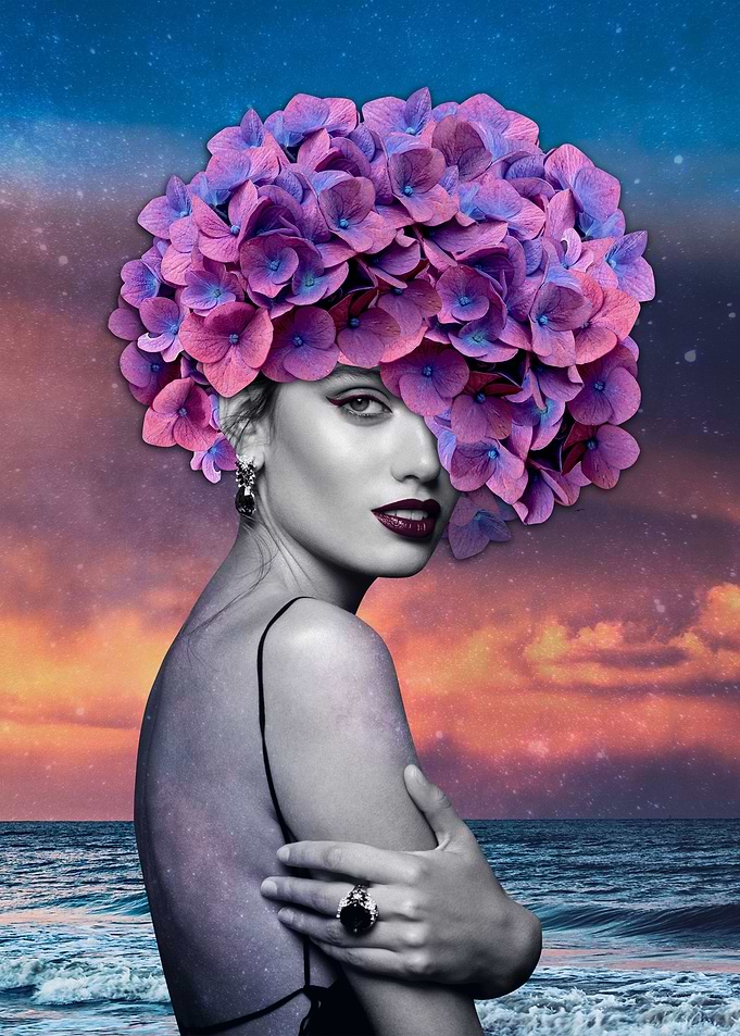 Hydrangea fairy