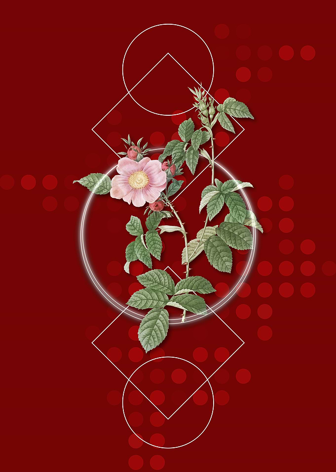 Geometric Dog Rose Flower