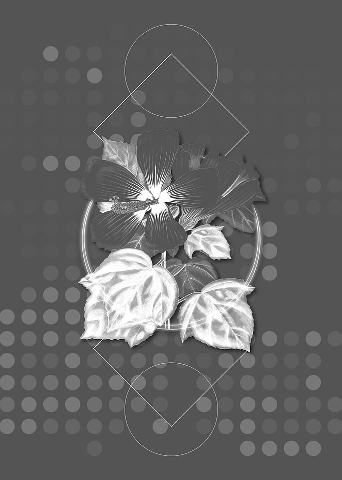 Geometric Marsh Hibiscus