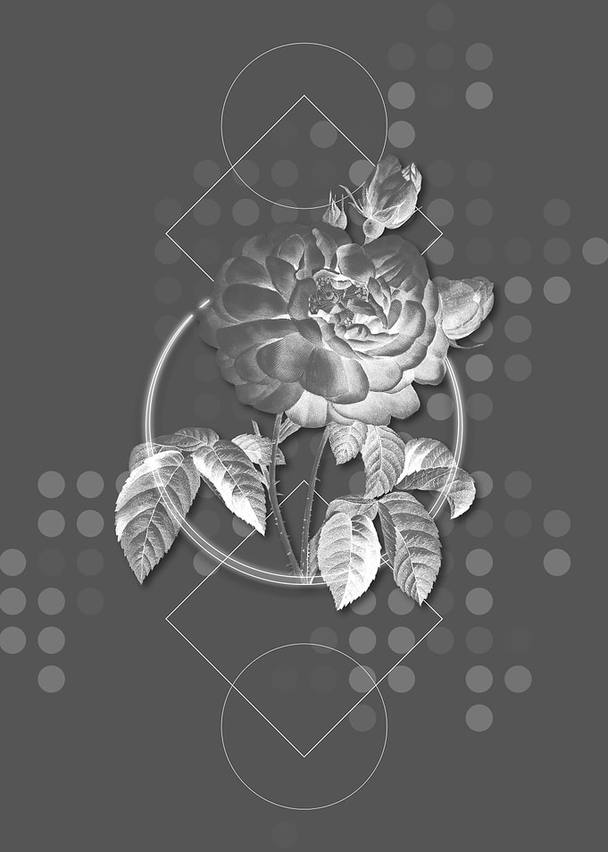 Grey Geometric Gallic Rose