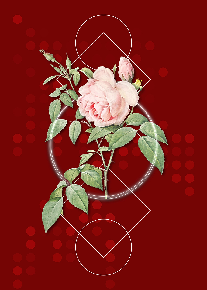 Vintage Geometric Rosebush