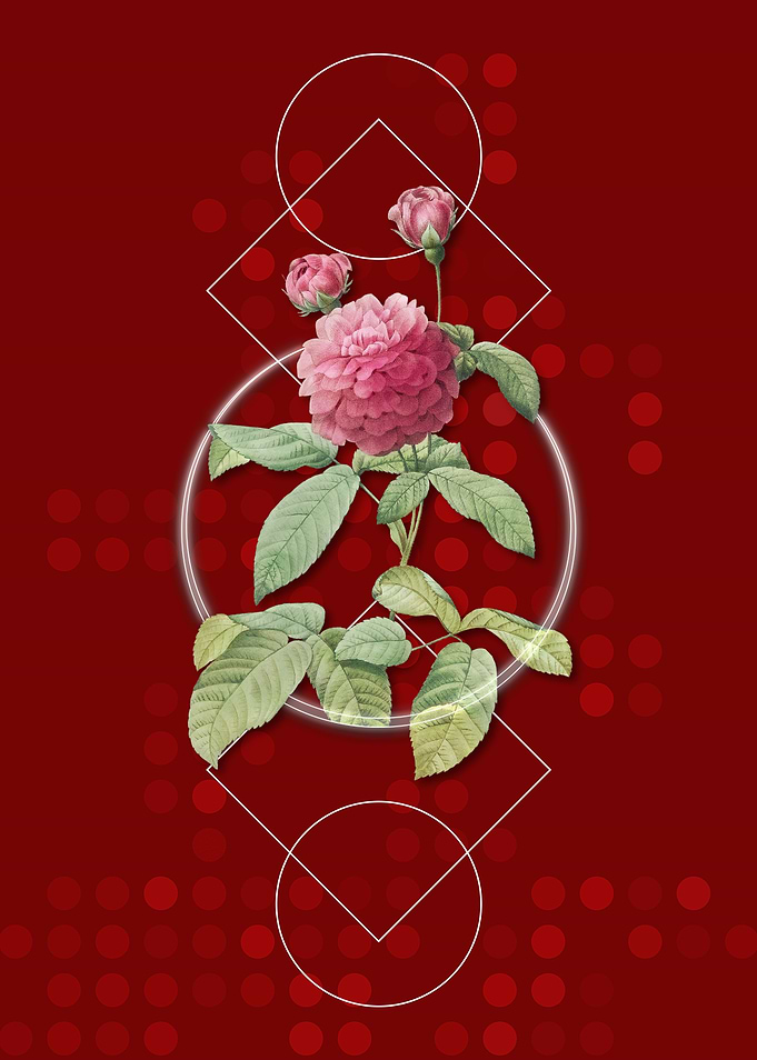 Geometric Agatha Rose