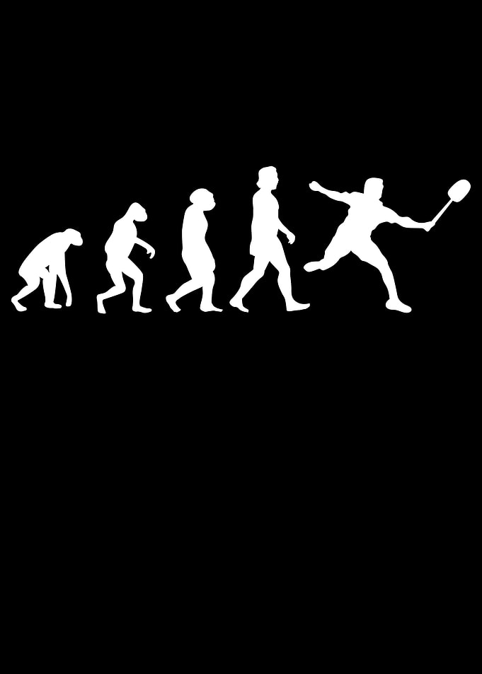 Shuttlecock Evolution